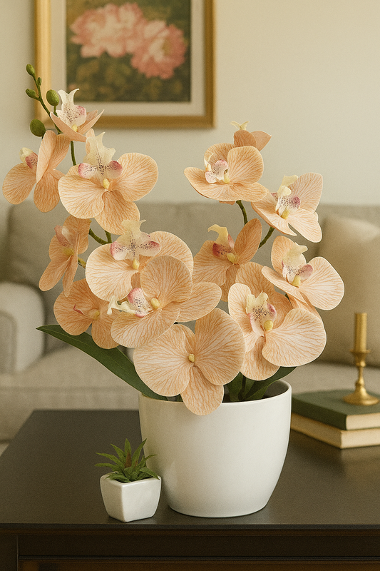 Peach Orchid Elegance